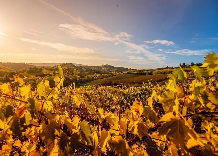 Agriturismo Il Segreto Di Pietrafitta San Gimignano
